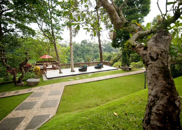 Beji 4*